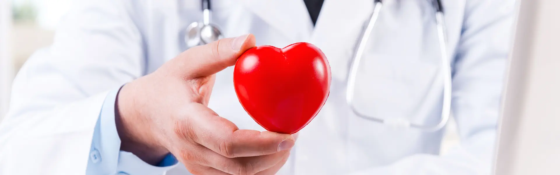 heart model